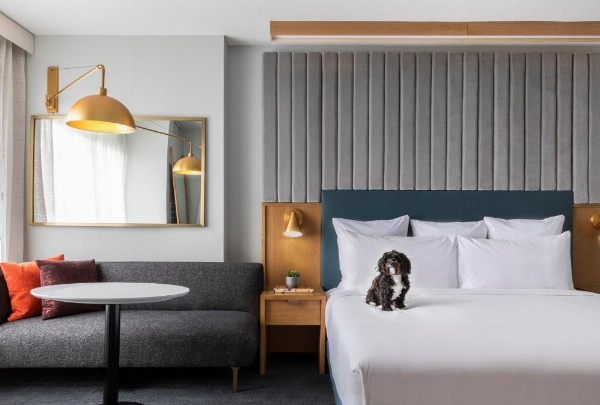 21c Museum Hotel Chicago image 30